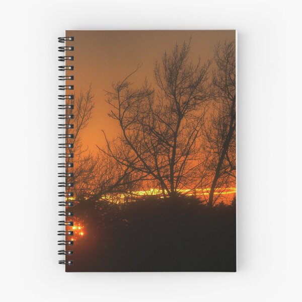 Item preview, The Riddells Creek Lake (10 ) - Silhouette's and Sunrise's designed and sold by Larry Davis.