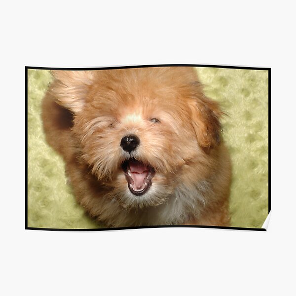 Yawn Poster