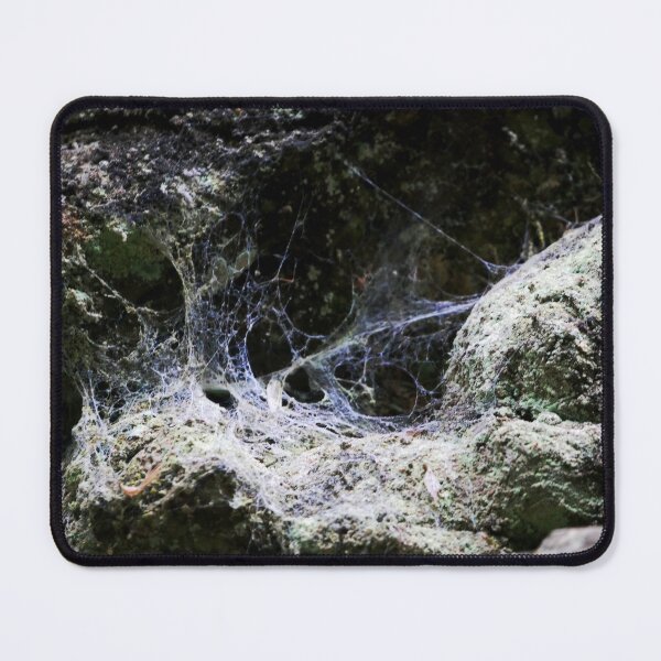 Item preview, Spider Webs designed and sold by Imaginary Bones Art .