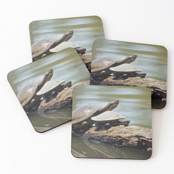 Item preview, Turtles  designed and sold by D-GaP.