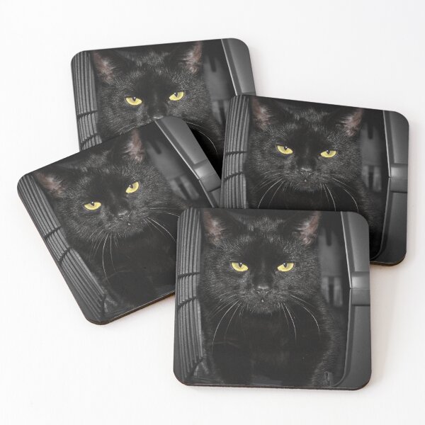 Item preview, Black cat designed and sold by Bianca Jayde.