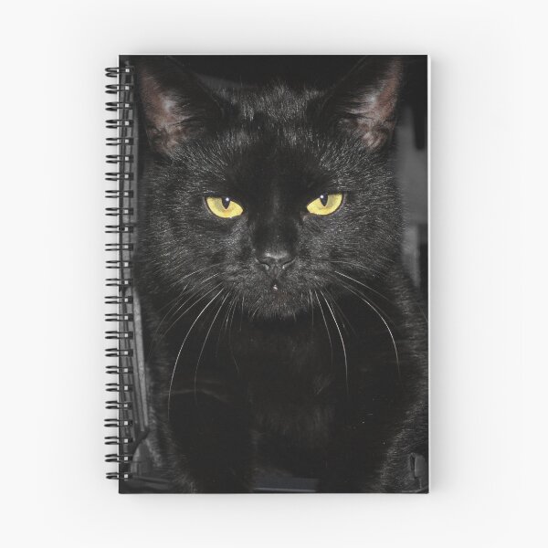 Item preview, Black cat designed and sold by Bianca Jayde.