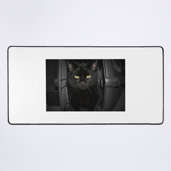 Item preview, Black cat designed and sold by Bianca Jayde.