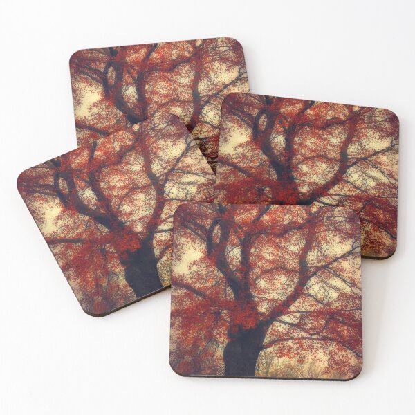 Item preview, Copper Beech Tree In Autumn Foliage designed and sold by Dyrk Wyst Redbubble Shop.