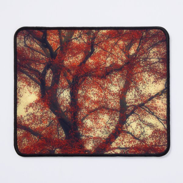 Item preview, Copper Beech Tree In Autumn Foliage designed and sold by Dyrk Wyst Redbubble Shop.