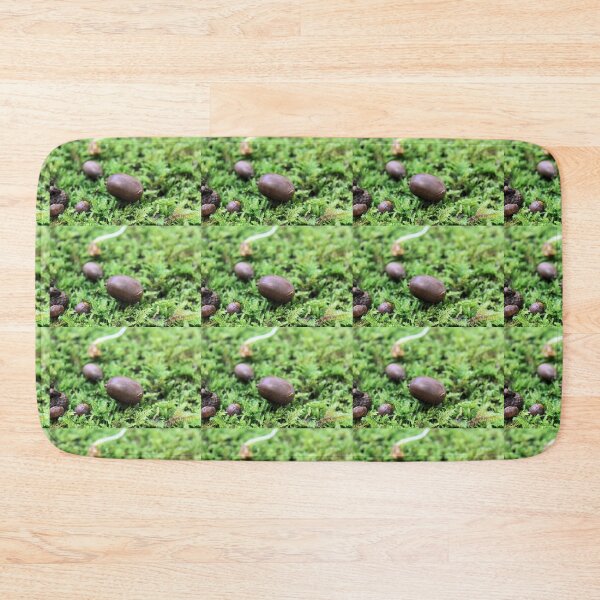 Item preview, acorn  designed and sold by KathleenDawson.
