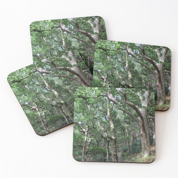 Item preview, woodland designed and sold by KathleenDawson.