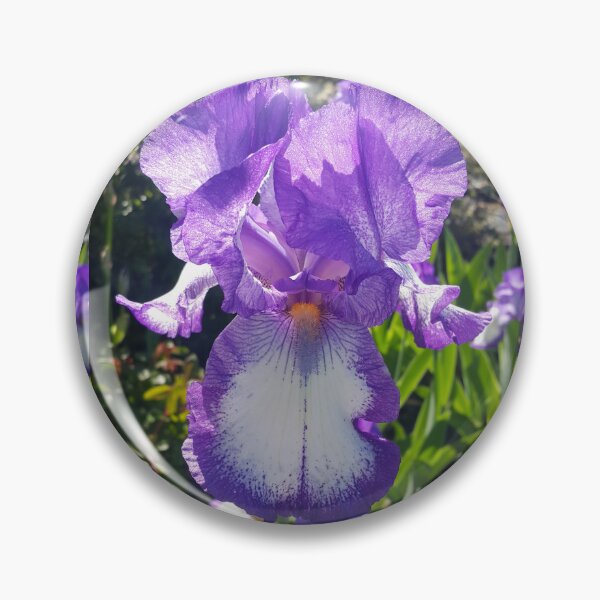 Item preview, Gorgeous Blue and White Bearded Iris Flower designed and sold by Sarah  Rajkotwala.