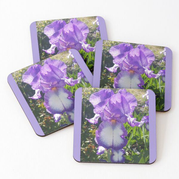 Item preview, Gorgeous Blue and White Bearded Iris Flower designed and sold by Sarah  Rajkotwala.