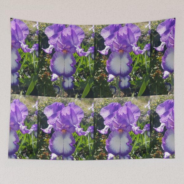 Item preview, Gorgeous Blue and White Bearded Iris Flower designed and sold by Sarah  Rajkotwala.