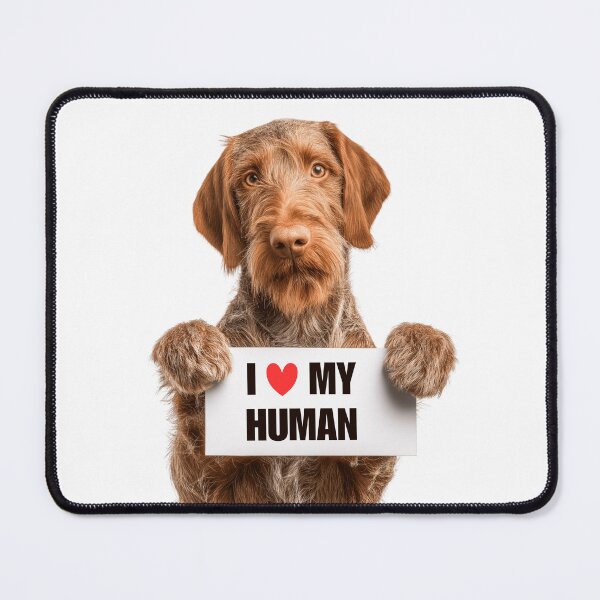 Item preview, Cute Wirehaired Vizsla dog with Signboard I love my Human  designed and sold by LazyOwlStore.