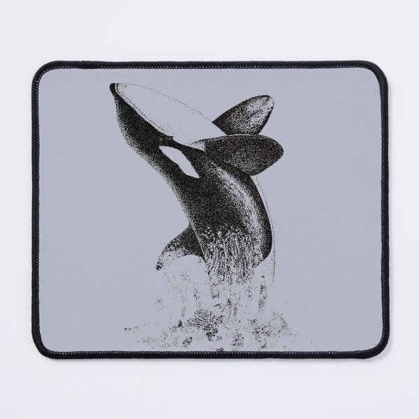 Item preview, Gorgeous Black and White Breaching Orca (Killer Whale) designed and sold by Sam Morton - Heart Art.