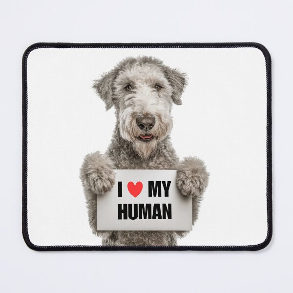 Item preview, Cute Bedlington Terrier dog with Signboard I love my Human  designed and sold by LazyOwlStore.