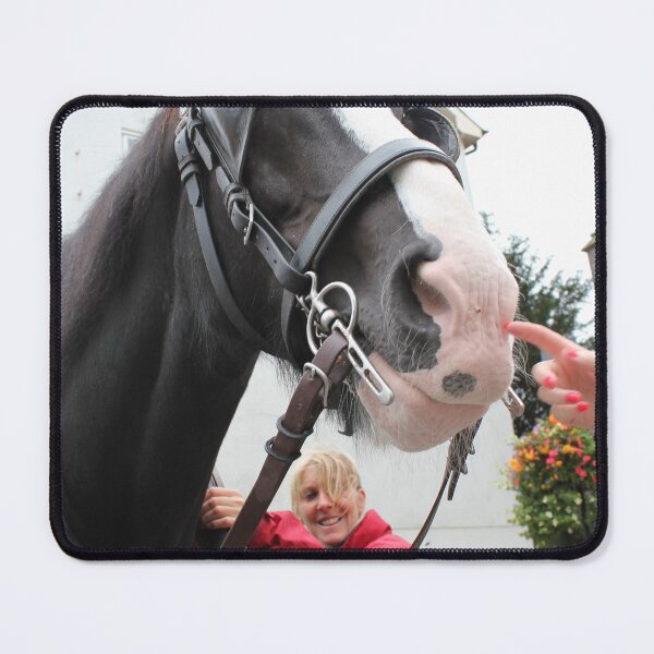 Item preview, 2011-09-08 : Major Tom - horse offering rides around Tenby designed and sold by 'ö-Dzin Tridral.