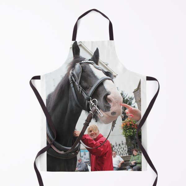 Item preview, 2011-09-08 : Major Tom - horse offering rides around Tenby designed and sold by 'ö-Dzin Tridral.