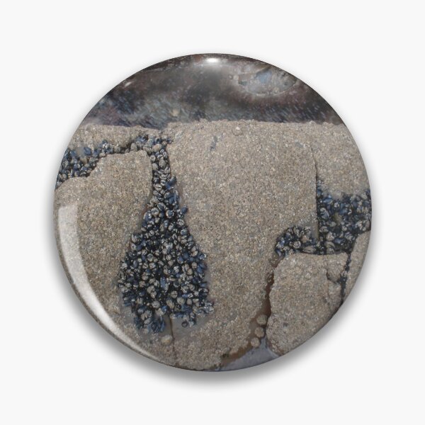 Item preview, 2011-09-04 : Shell Script - Shells in hollows in rocks designed and sold by 'ö-Dzin Tridral.