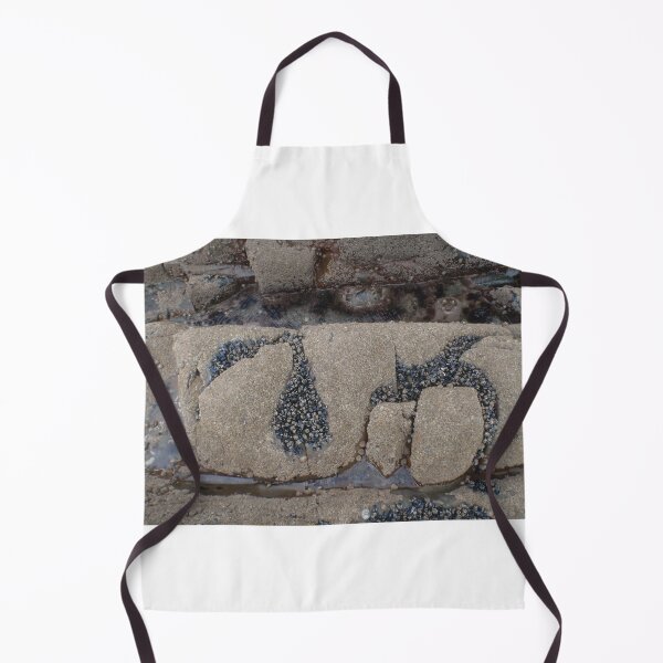 Item preview, 2011-09-04 : Shell Script - Shells in hollows in rocks designed and sold by 'ö-Dzin Tridral.