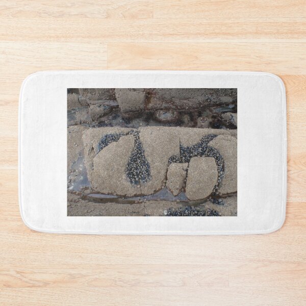 Item preview, 2011-09-04 : Shell Script - Shells in hollows in rocks designed and sold by 'ö-Dzin Tridral.