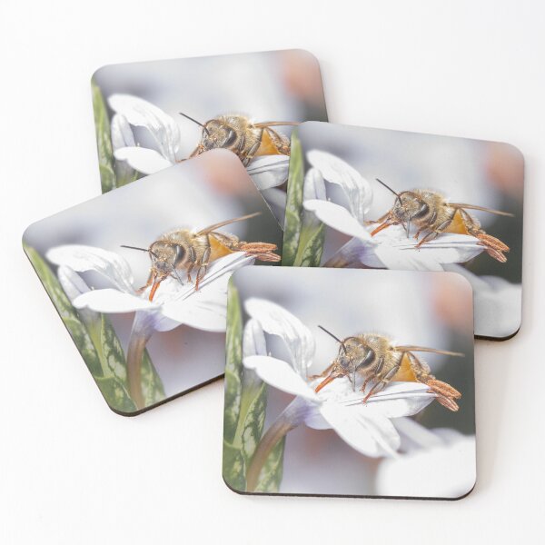 Item preview, Story behind the photo - European Honey Bee designed and sold by robdwildlife.