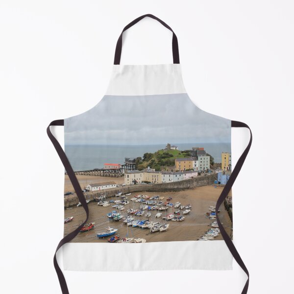 Item preview, 2011-09-02 : Low Tide at Tenby - The harbour at Dinbych-y-Pysgod at low tide designed and sold by 'ö-Dzin Tridral.