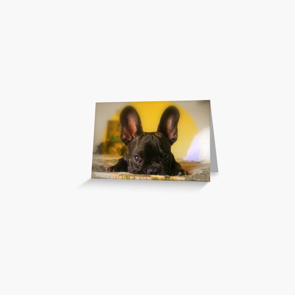 I'm listening.... Greeting Card