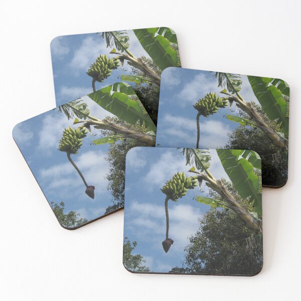 Item preview, Banana Palm with Flower Bud – Tropical Nature Photography designed and sold by DiscoverySB.