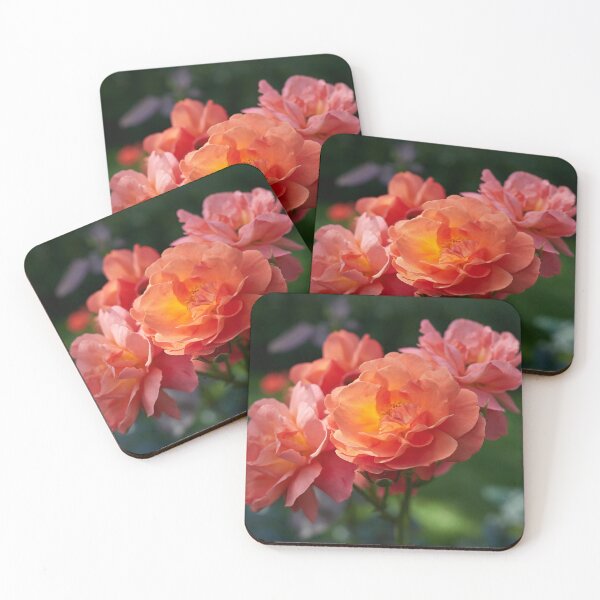 Item preview, Morning sun has rosen. Roses of the late summer series numer 23 designed and sold by Jouko Lehto Photography.