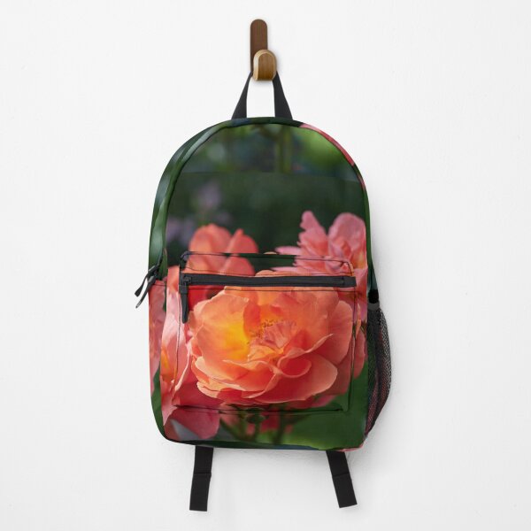 Item preview, Morning sun has rosen. Roses of the late summer series numer 23 designed and sold by Jouko Lehto Photography.