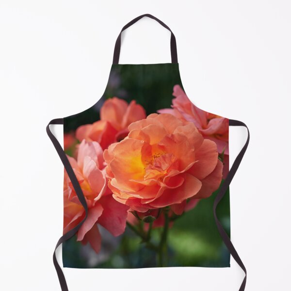 Item preview, Morning sun has rosen. Roses of the late summer series numer 23 designed and sold by Jouko Lehto Photography.