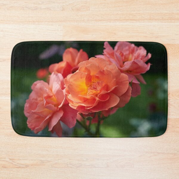 Item preview, Morning sun has rosen. Roses of the late summer series numer 23 designed and sold by Jouko Lehto Photography.