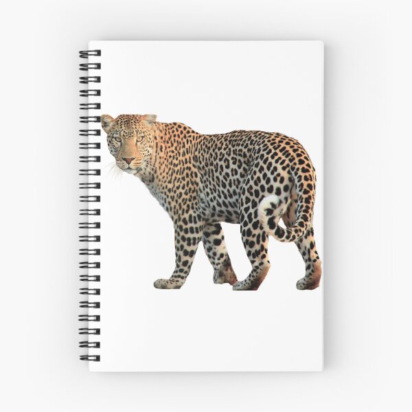 Artikelvorschau, Leopard entworfen und verkauft von Trends Art Creations .