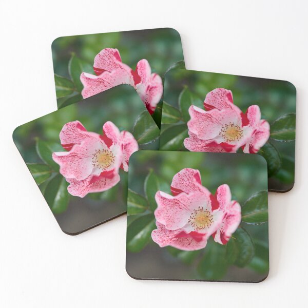 Item preview, Simsalabim. Roses of the late summer series numer 27 designed and sold by Jouko Lehto Photography.