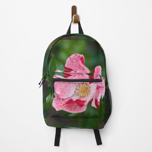 Item preview, Simsalabim. Roses of the late summer series numer 27 designed and sold by Jouko Lehto Photography.