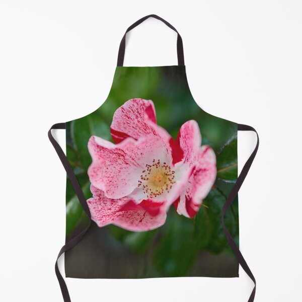 Item preview, Simsalabim. Roses of the late summer series numer 27 designed and sold by Jouko Lehto Photography.