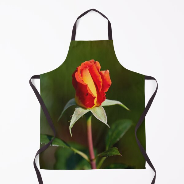 Item preview, Just about a rosebud. Roses of the late summer series numer 31 designed and sold by Jouko Lehto Photography.