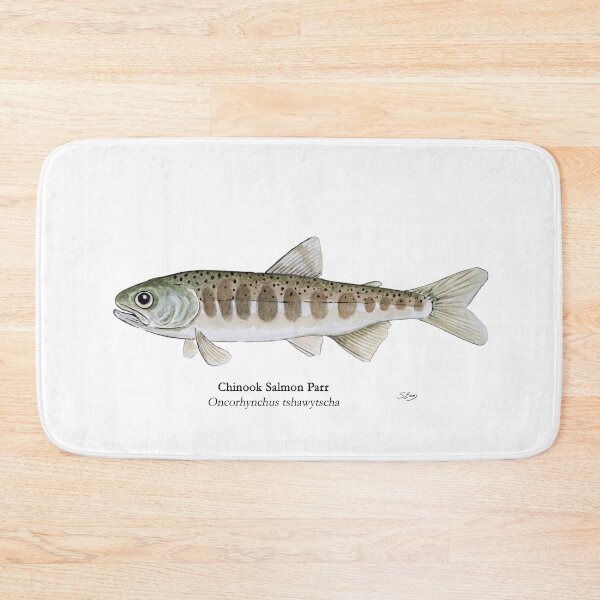 Item preview, Chinook Salmon Parr designed and sold by Stephen Emms.
