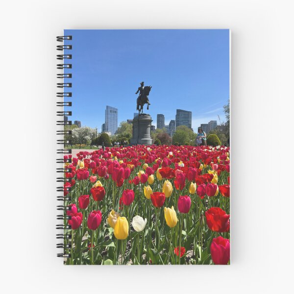 Item preview, Flowers at Boston Common designed and sold by Willow Sage.