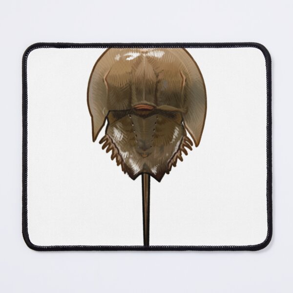 Item preview, horseshoe crab designed and sold by Lizurps critters.