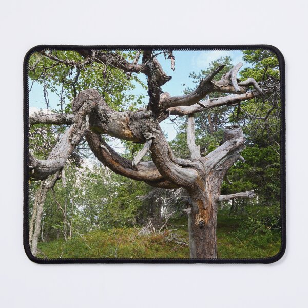 Item preview, Twisted. Valtavaara 2025 number 12 designed and sold by Jouko Lehto Photography.