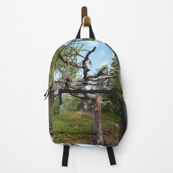 Item preview, Twisted. Valtavaara 2025 number 12 designed and sold by Jouko Lehto Photography.