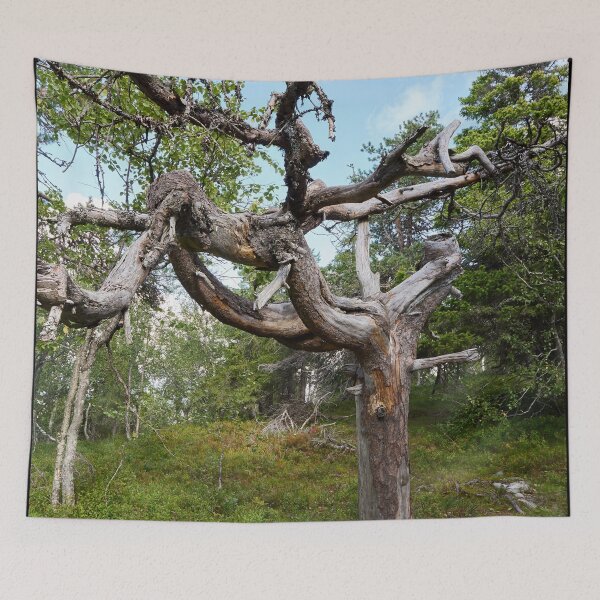 Item preview, Twisted. Valtavaara 2025 number 12 designed and sold by Jouko Lehto Photography.