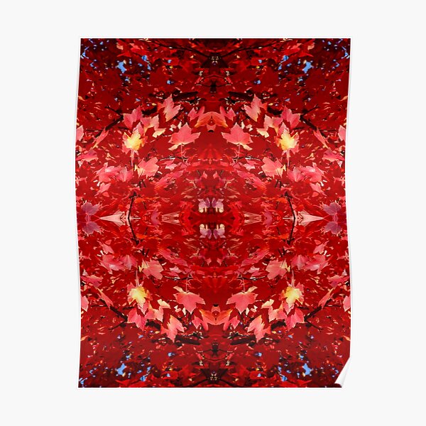 Red Maple Magic Carpet 7975 Pattern 2 Poster