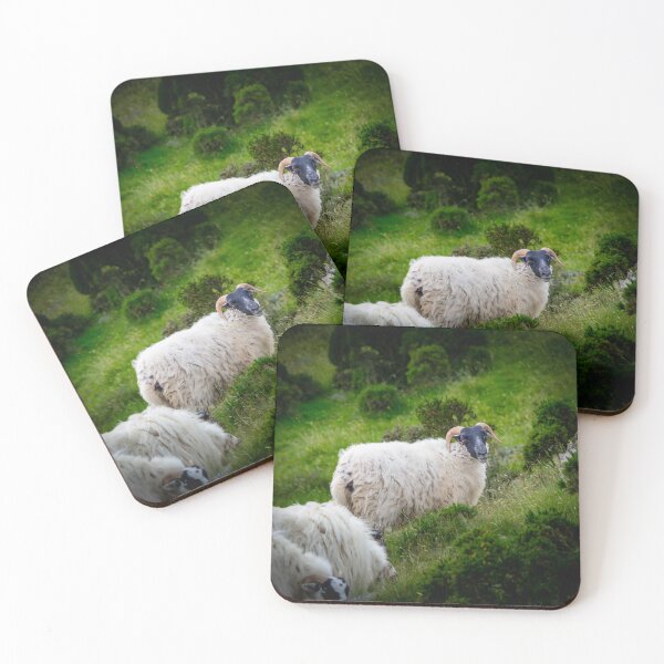Item preview, Blackface Mountain Sheep Grazing designed and sold by JacobCPhotos.