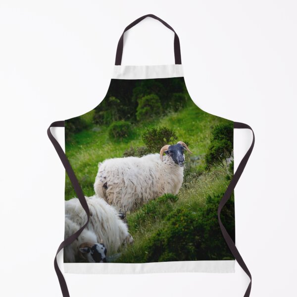 Item preview, Blackface Mountain Sheep Grazing designed and sold by JacobCPhotos.
