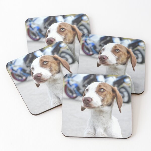 Item preview, Gentle Gaze Dog, Calm and Sweet designed and sold by Anastasia Kaneva.
