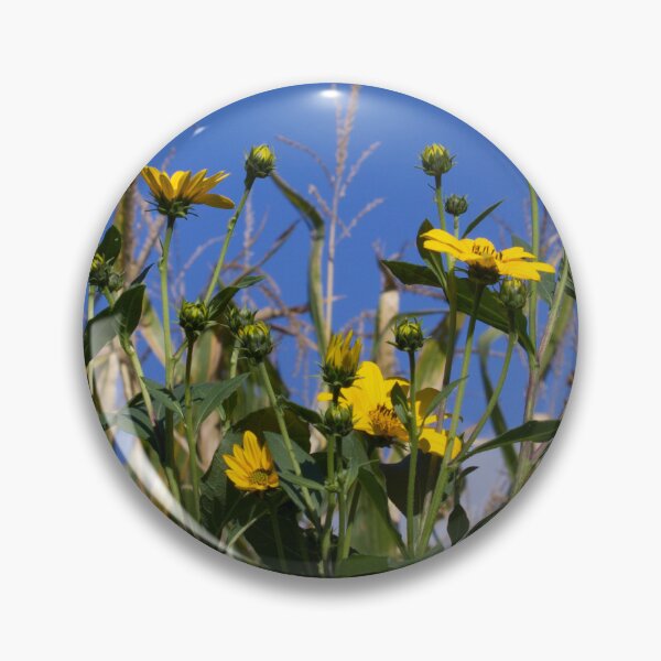 Item preview, Sunflowers in Cornfield Photograph designed and sold by AnnOriginal.