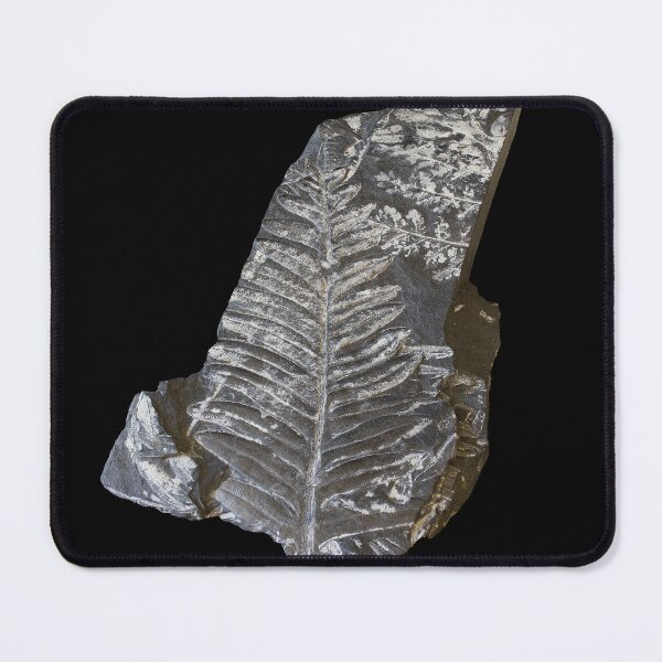 Item preview, Fossilized Fern Leaves Photograph designed and sold by AnnOriginal.