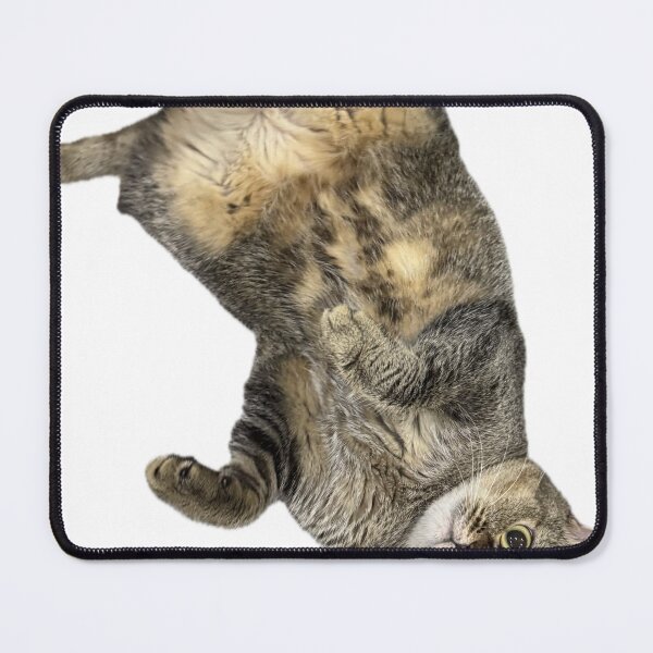 Item preview, Funny Chubby Cat Belly Up T-Shirt – Cute Tabby Kitty Design. designed and sold by 3JJJ.