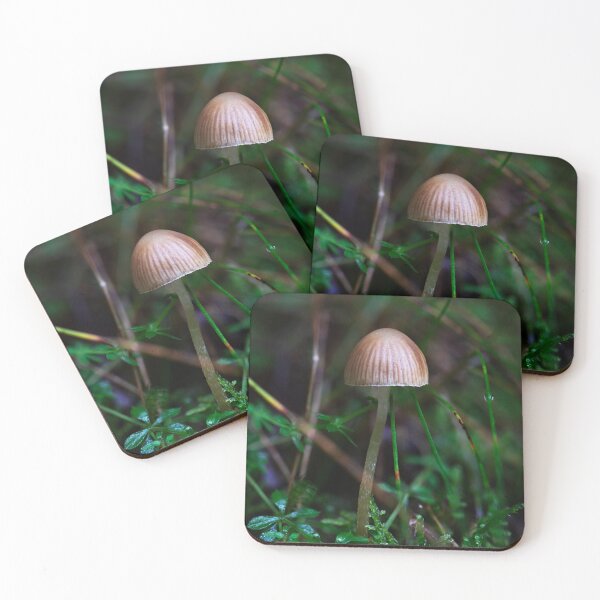 Item preview, Teeny Tiny Toadstool designed and sold by RedGrouse.