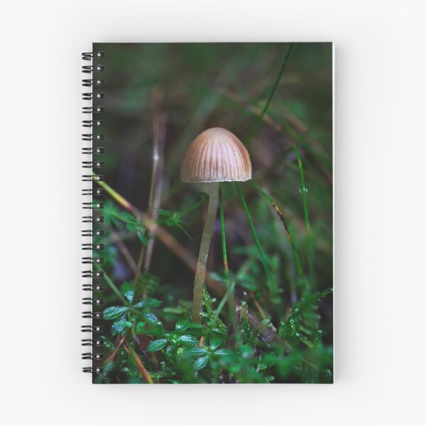 Item preview, Teeny Tiny Toadstool designed and sold by RedGrouse.